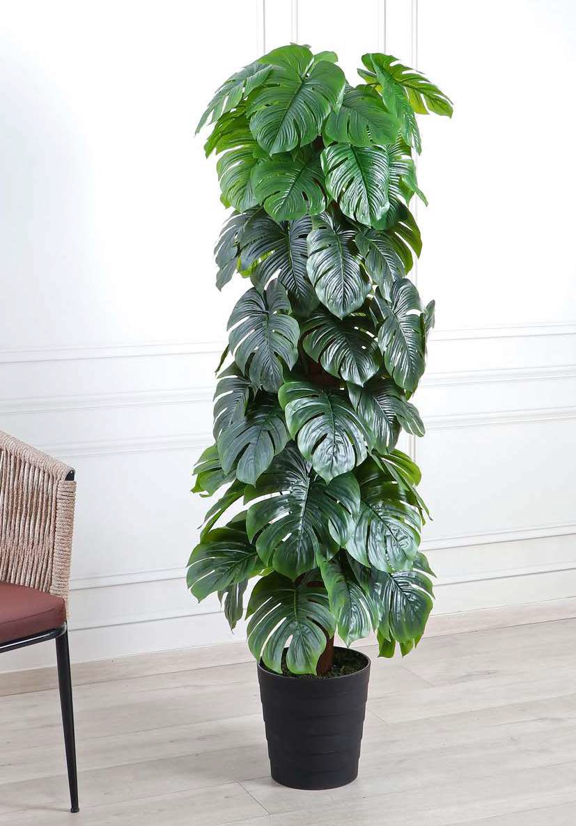 Fourwalls Artificial Swiss Cheese Plant on Moss Pole - 5 Feet