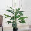 buy Artificial Real Touch Peace Lily Plant with Pot