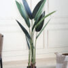 Artificial Birds of Paradise Plant with Pot