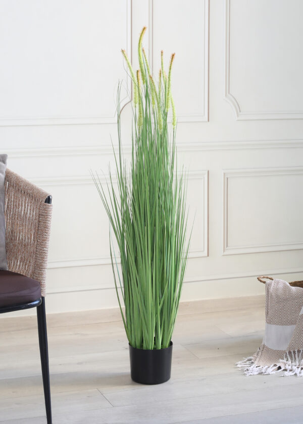 Fourwalls Artificial Dogtail Grass Plant with Pot