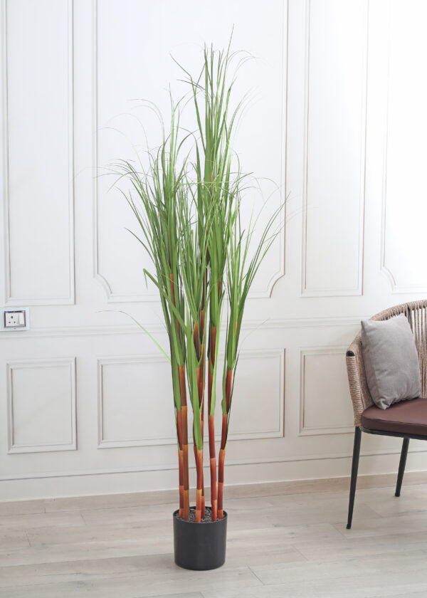 Artificial Sugarcane Plant with Pot