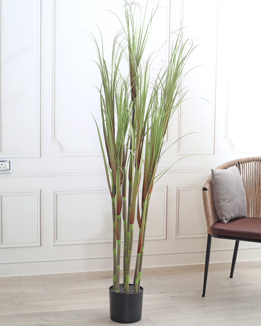 buy Artificial Sugarcane Plant with Pot