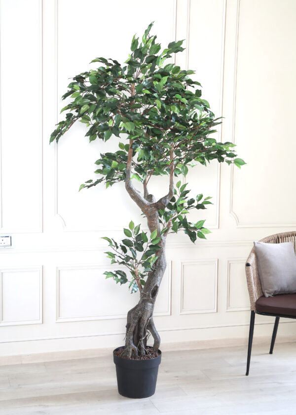 Buy Artificial Ficus Tree with Pot