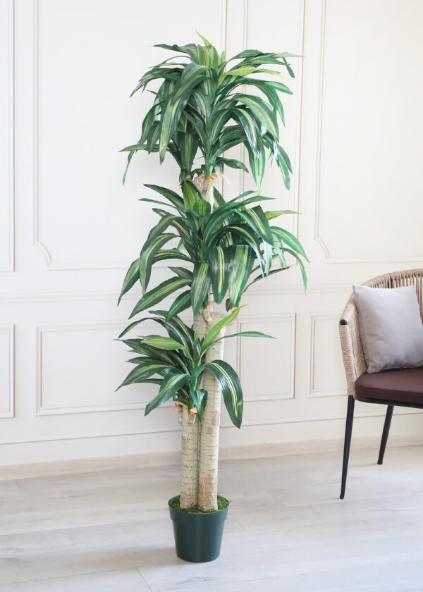 Artificial Dracaena Plant with Pot