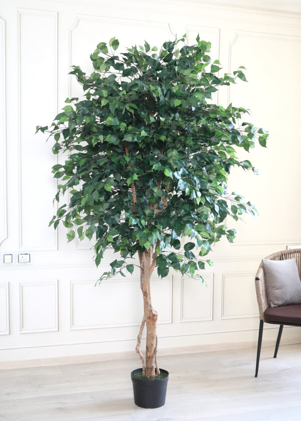 buy Artificial Ficus Tree with Pot