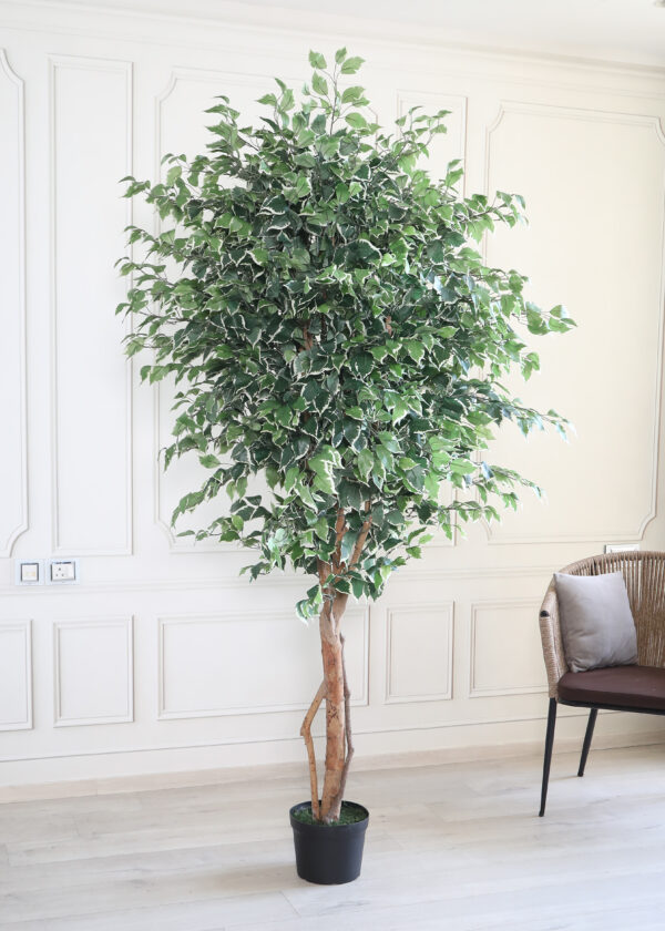 Artificial Variegated Ficus Tree with Pot