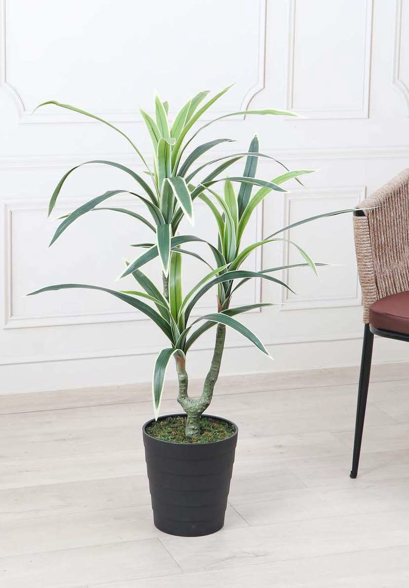 Fourwalls Artificial Dracaena Plant - 3 Branches, 3.3 Feet, Green/White