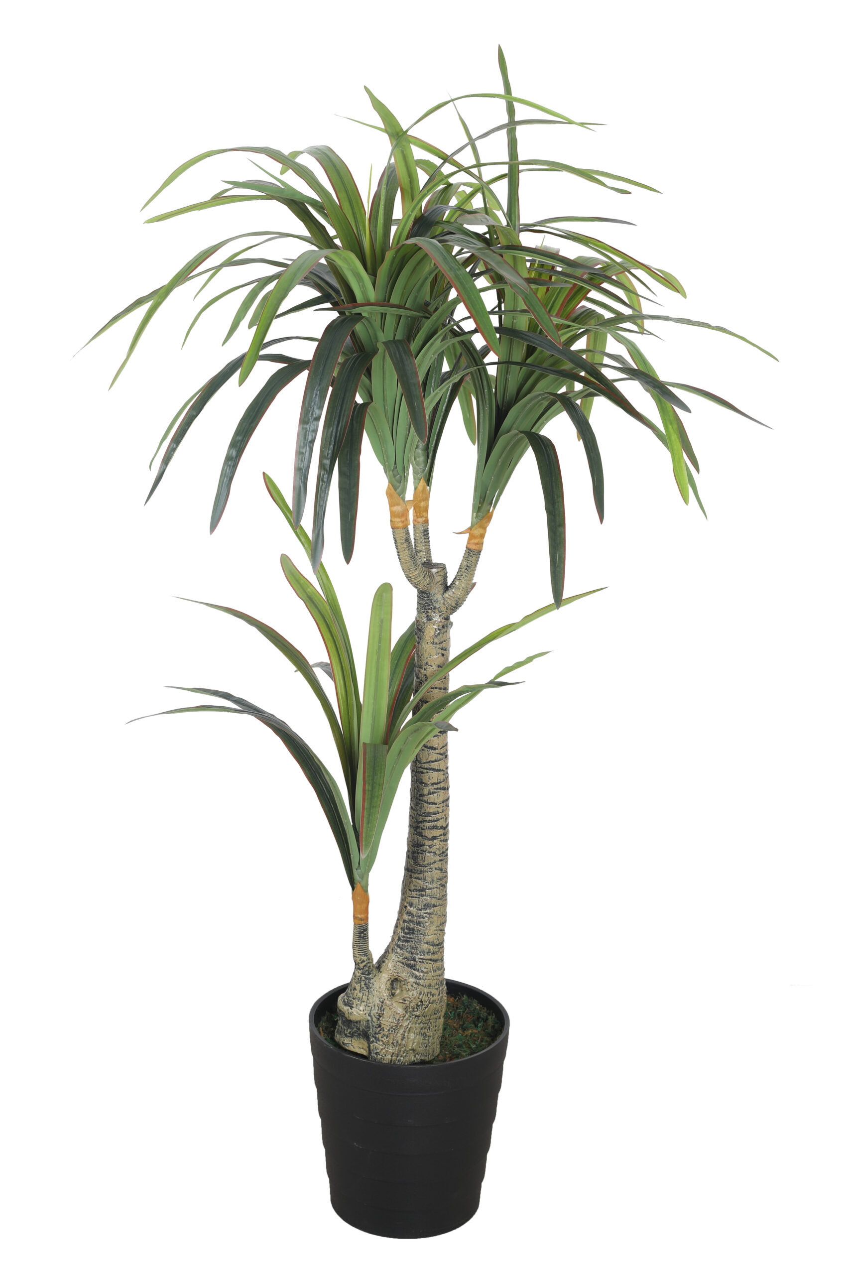 Fourwalls Artificial Yucca Plant - 4.4 Feet - Image 2