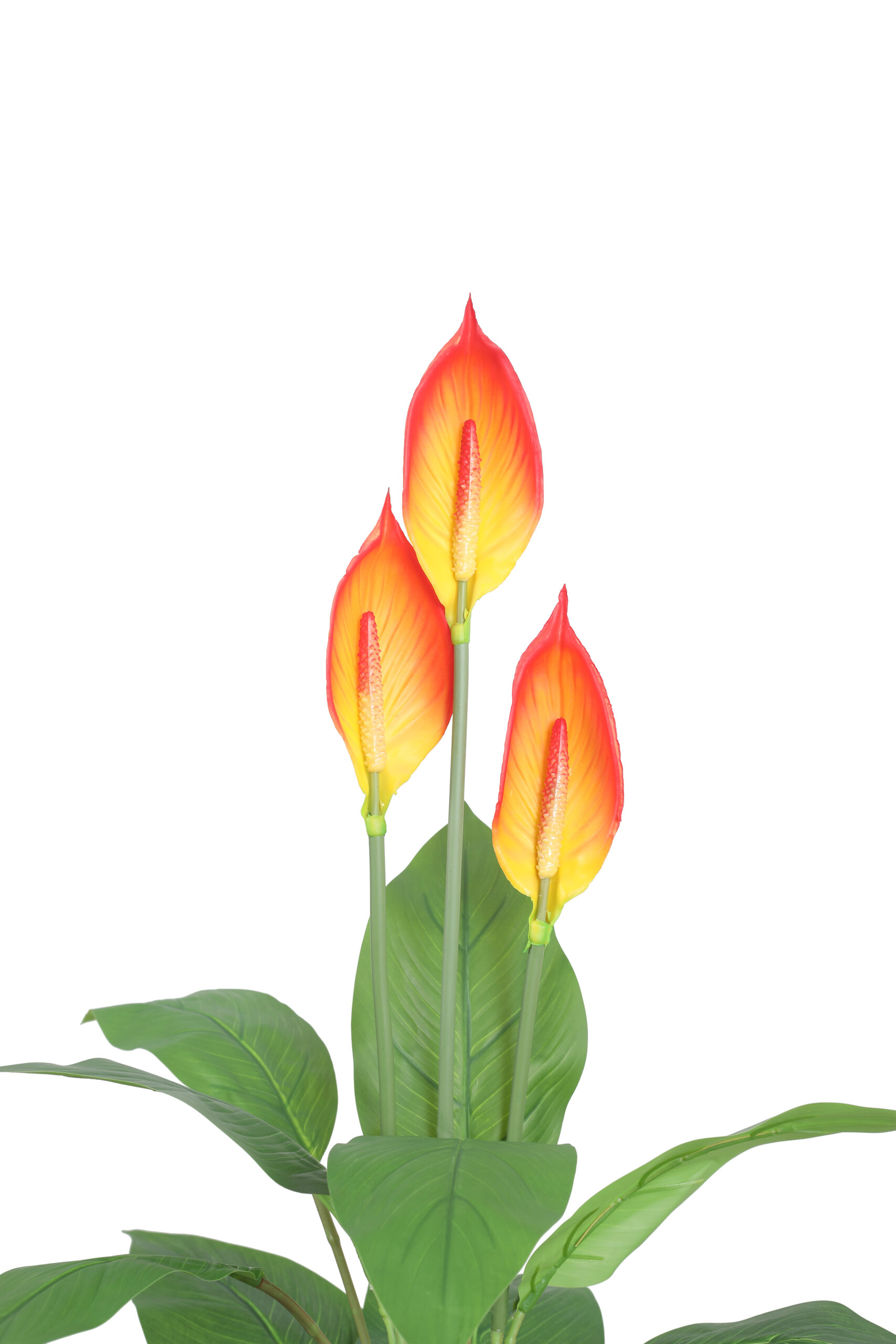 Artificial Real Touch Peace Lily Plant - 3.5 Feet, Orange - Image 4