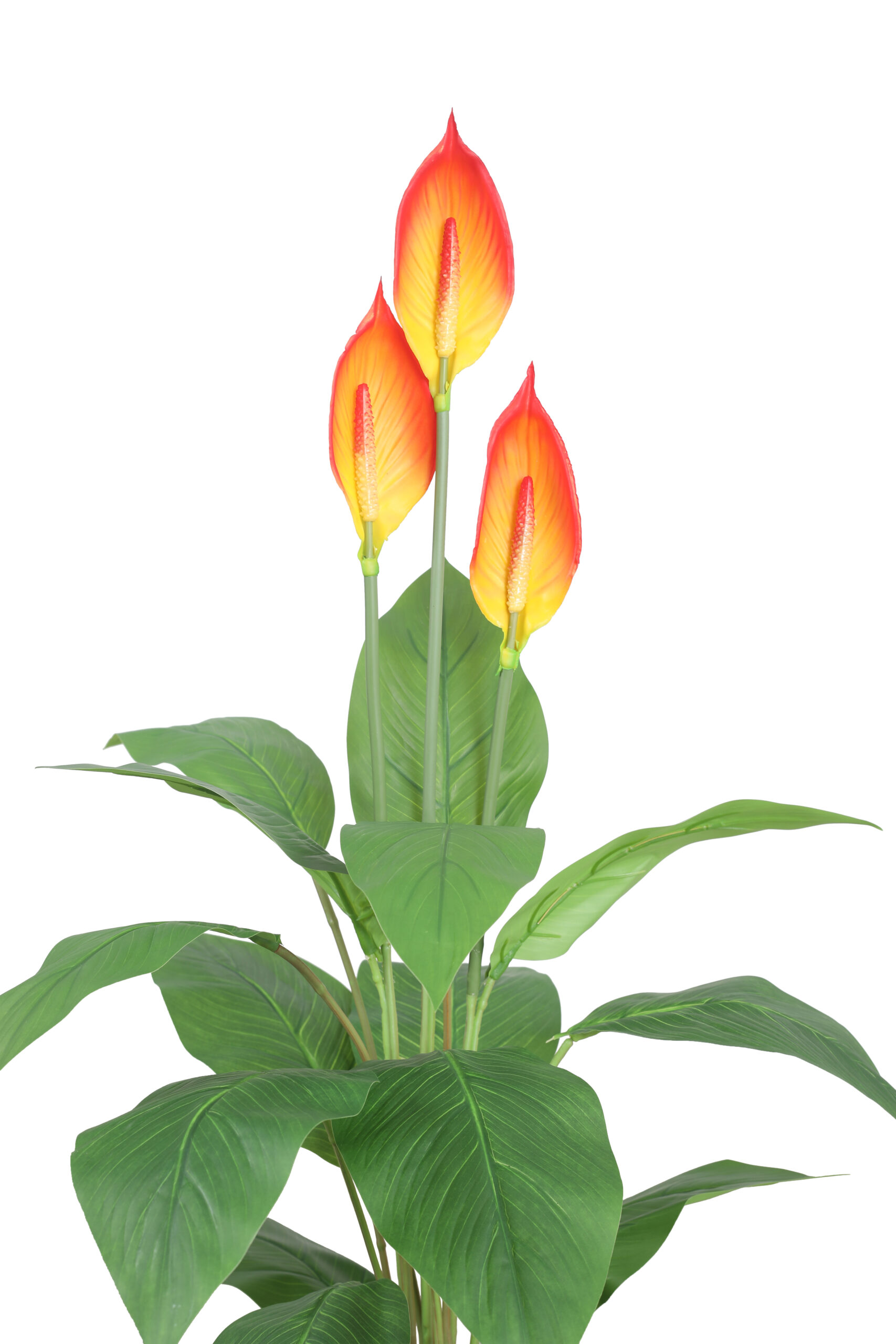 Artificial Real Touch Peace Lily Plant - 3.5 Feet, Orange - Image 5