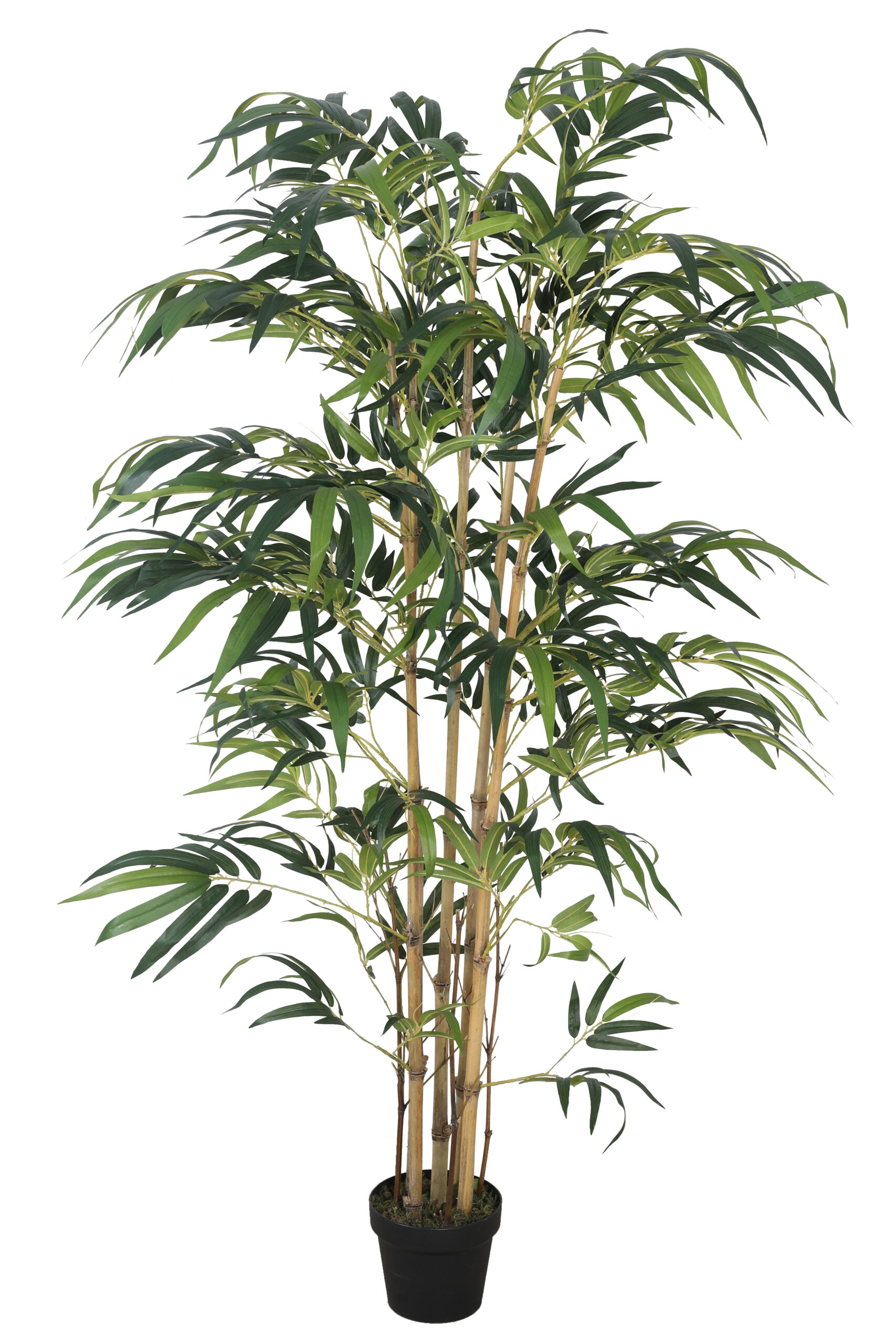 Artificial Drooping Bamboo Plant with Pot - 6 Feet, Yellow - Image 2