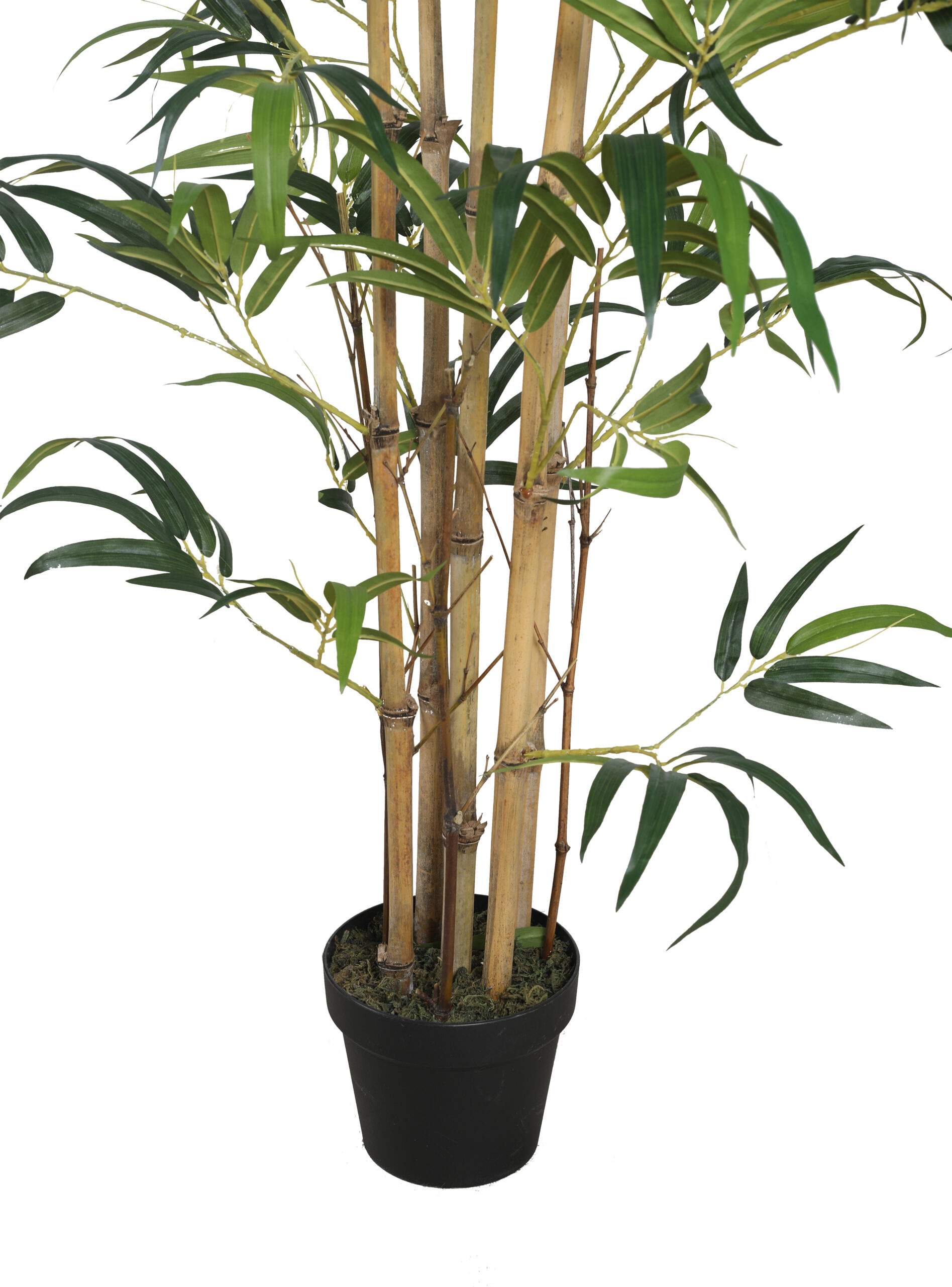 Artificial Drooping Bamboo Plant with Pot - 6 Feet, Yellow - Image 4
