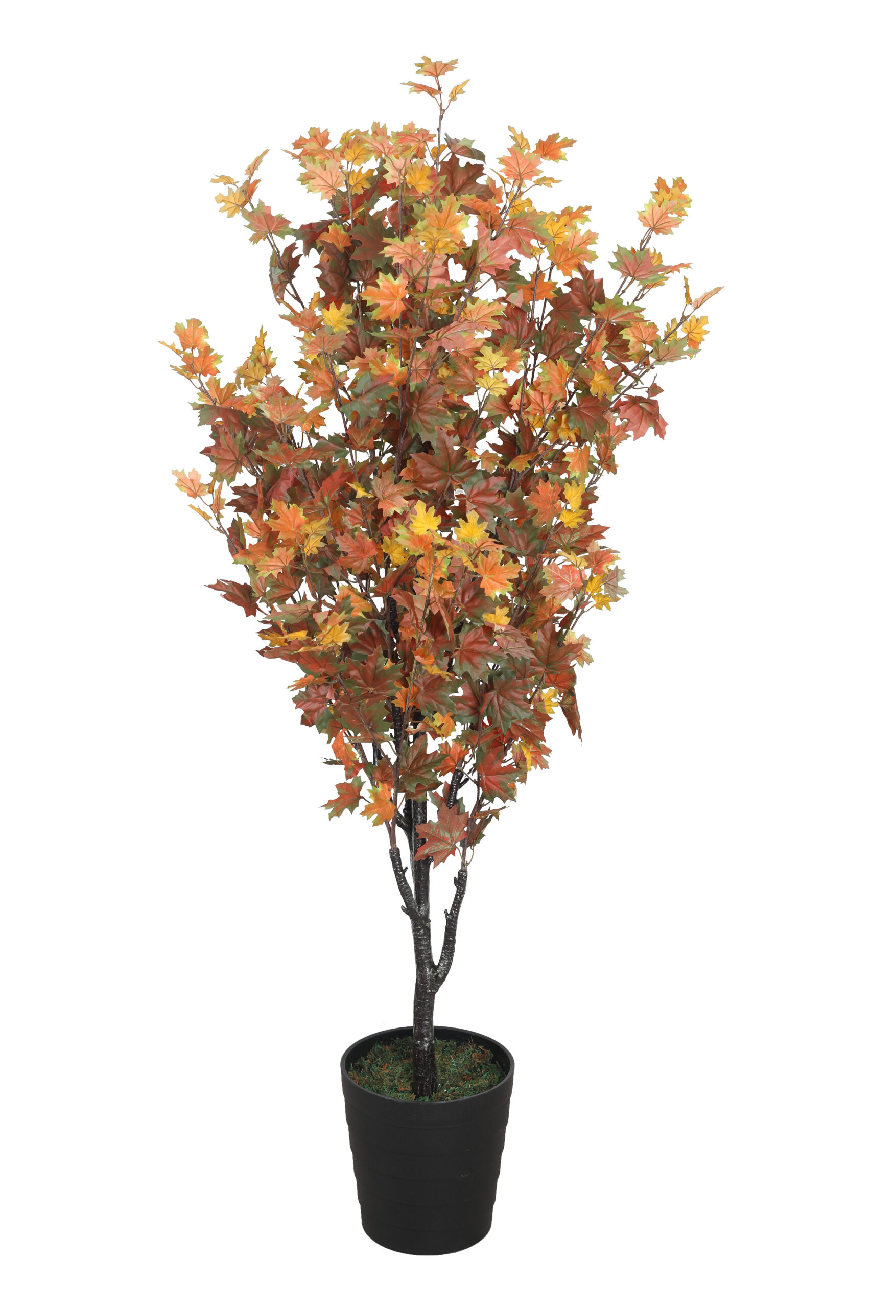 Artificial Japanese Maple Plant For Living Room 5.4 Feet - Mumbai