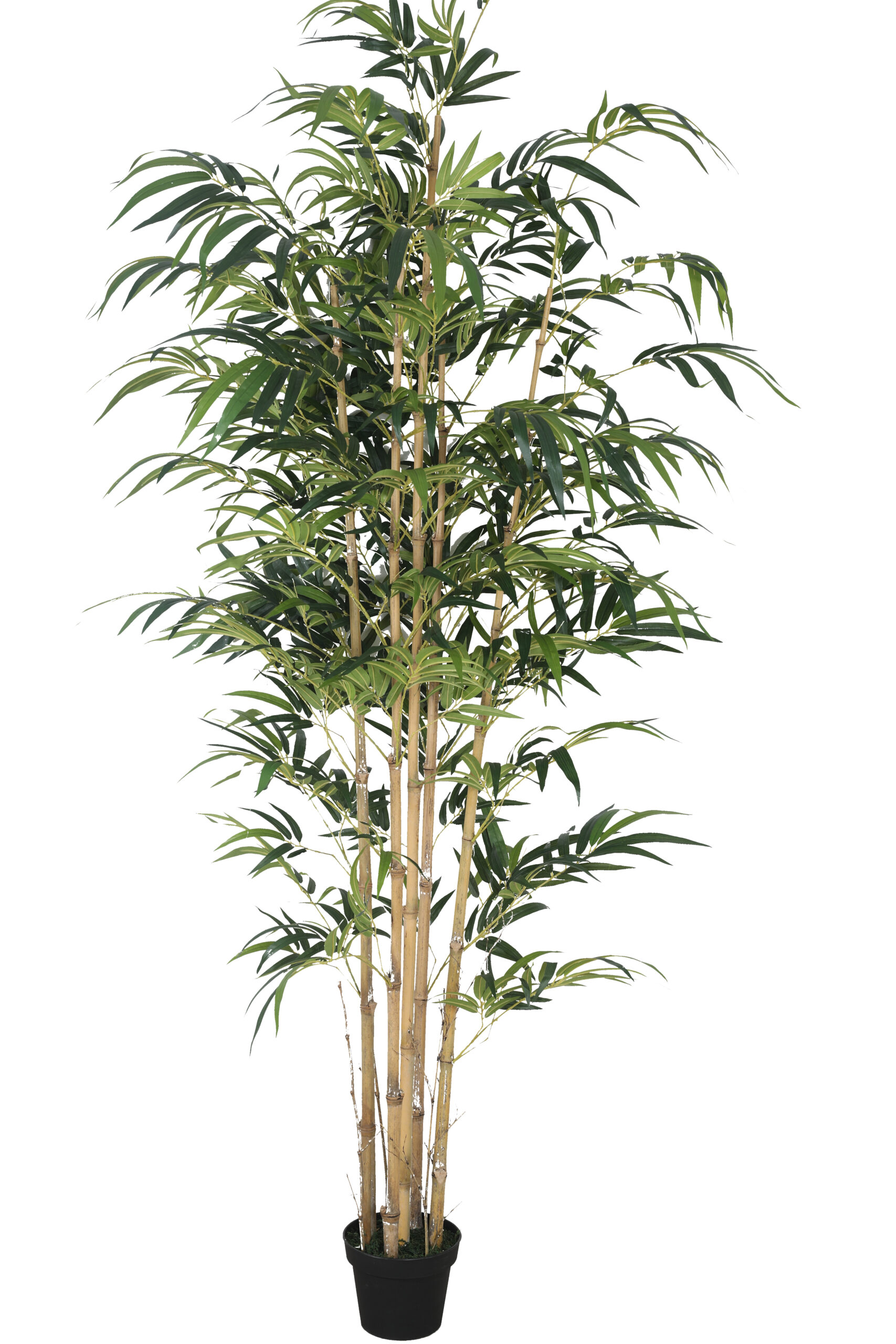 Artificial Drooping Bamboo Plant with Pot - 8 Feet, Yellow - Image 2