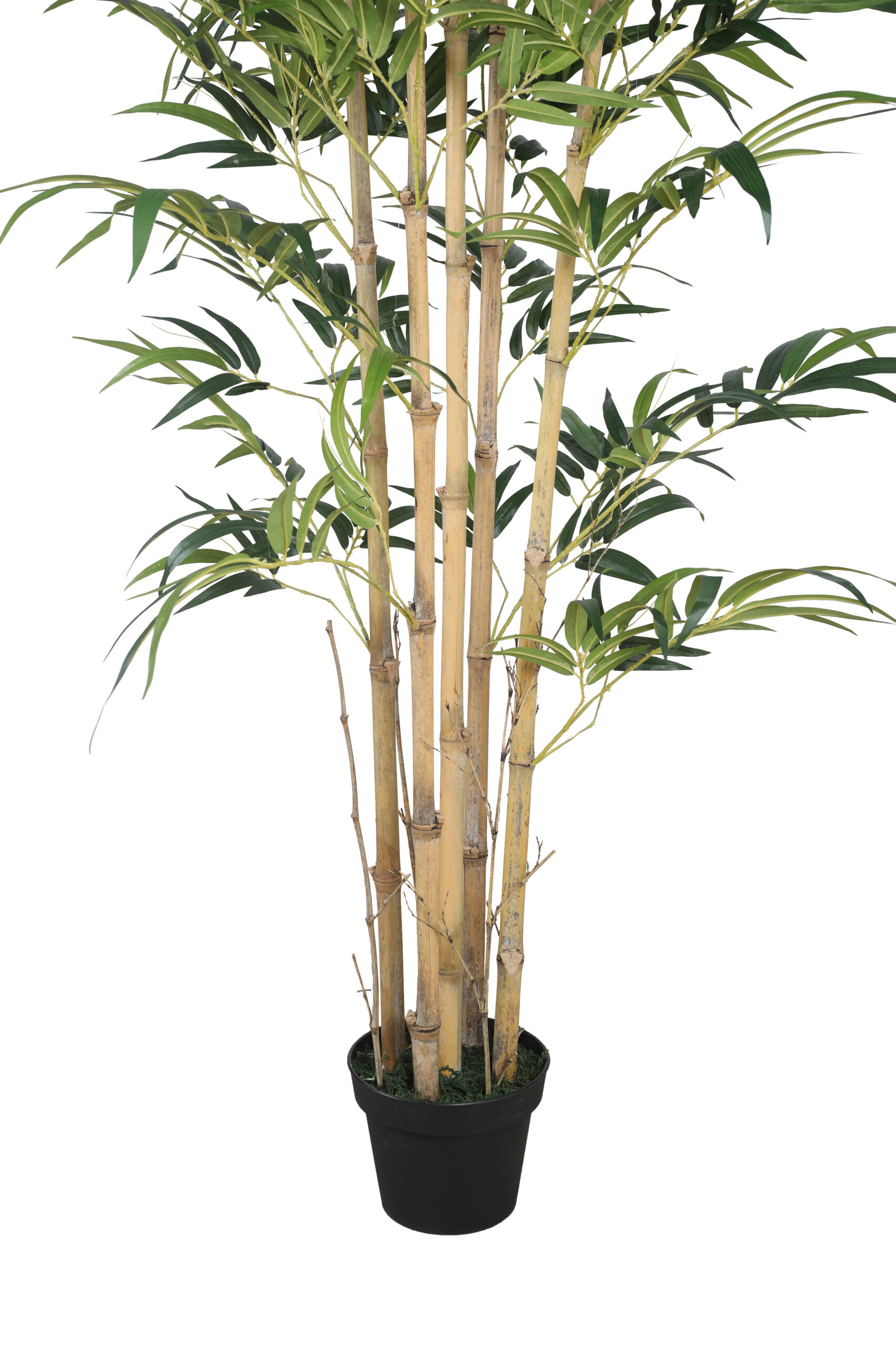Artificial Drooping Bamboo Plant with Pot - 8 Feet, Yellow - Image 4