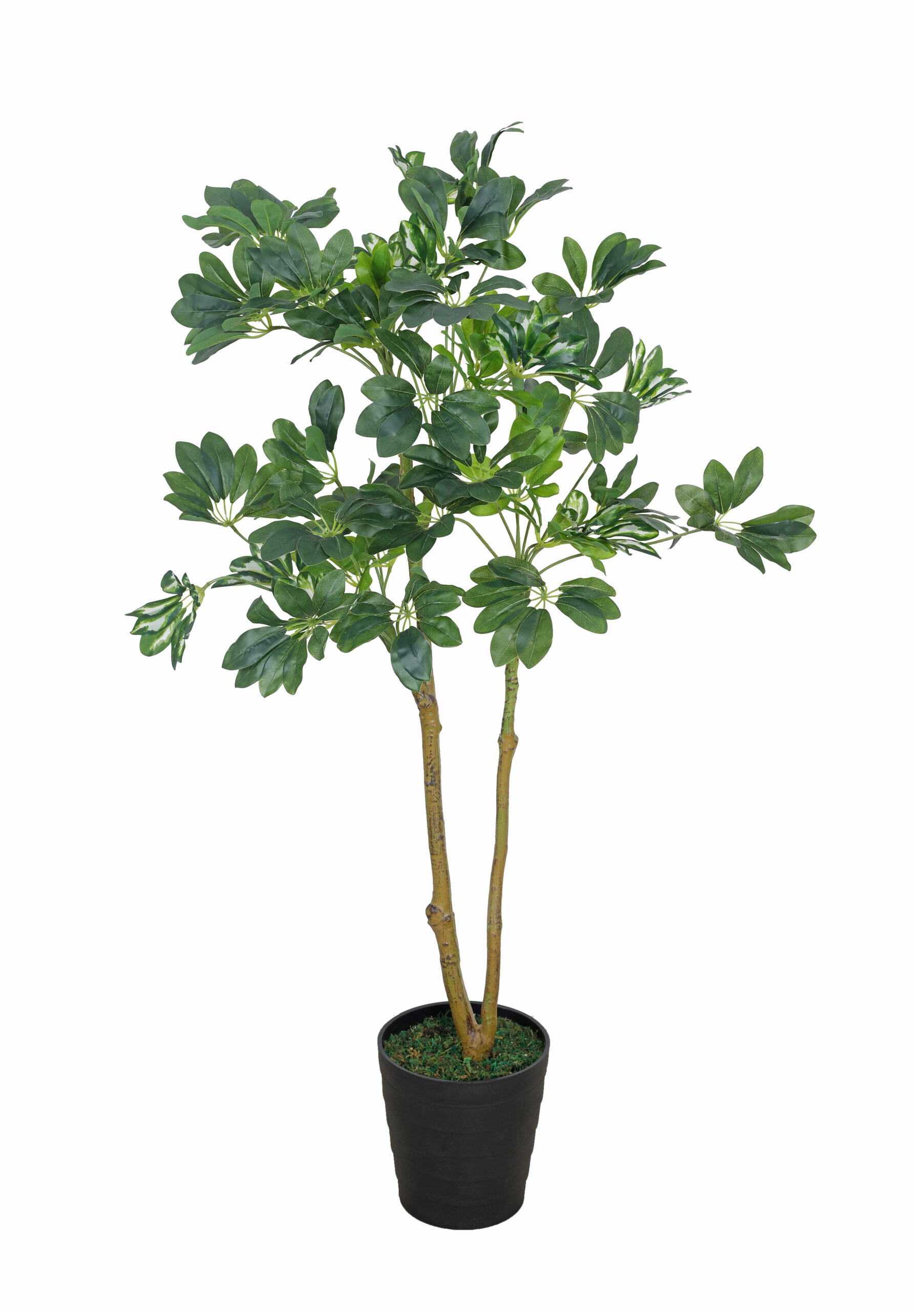 Artificial Schefflera Plant - 4.5 Feet - Image 2