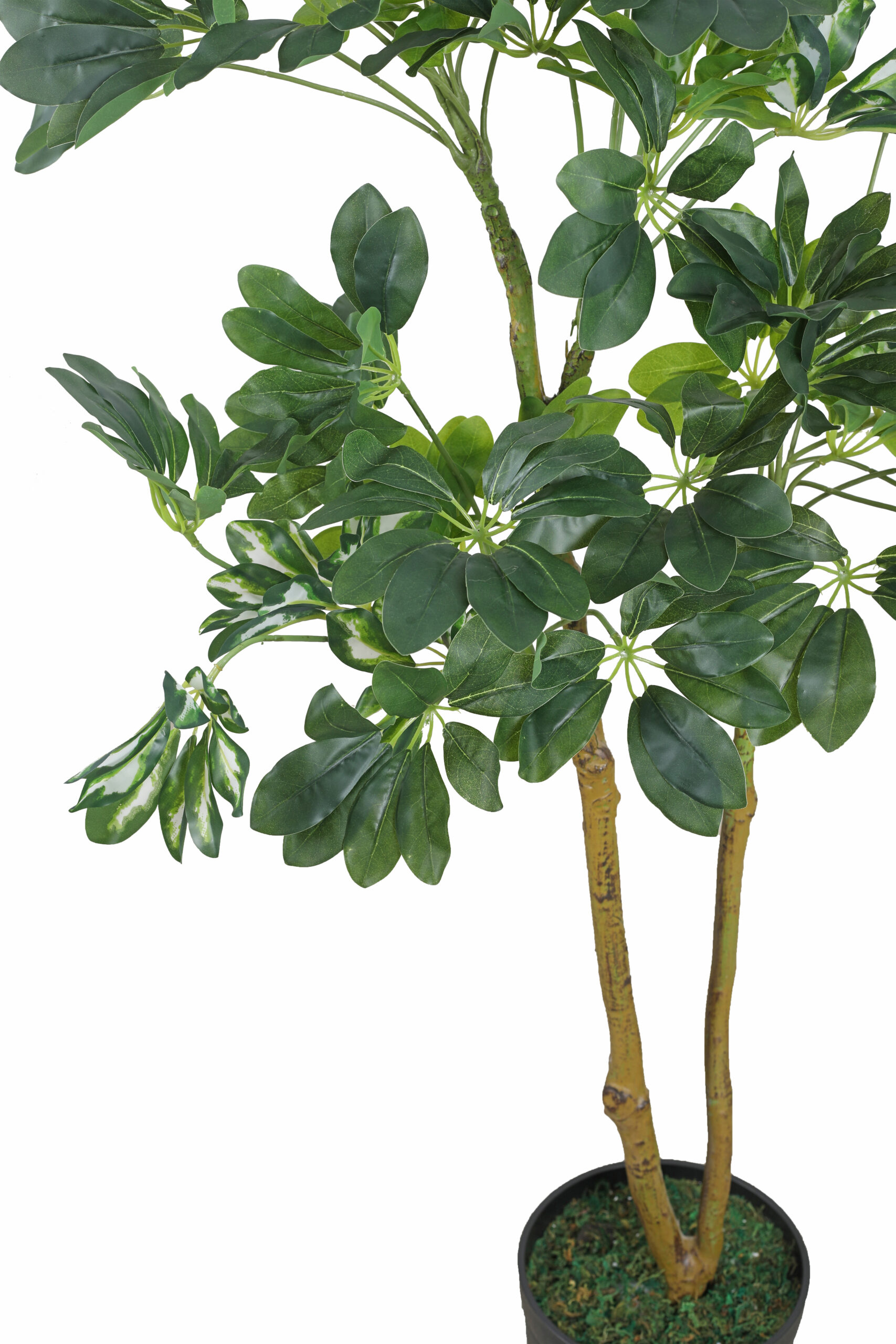 Artificial Schefflera Plant - 4.5 Feet - Image 4