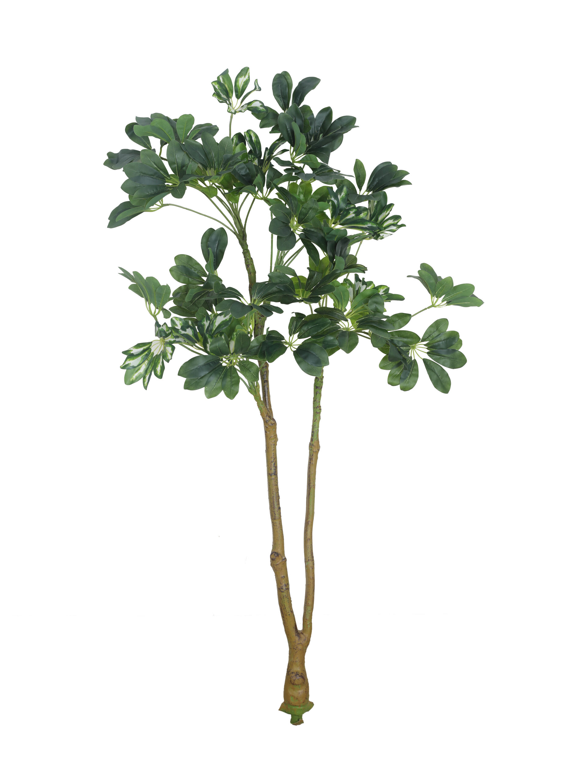 Artificial Schefflera Plant - 4.5 Feet - Image 3