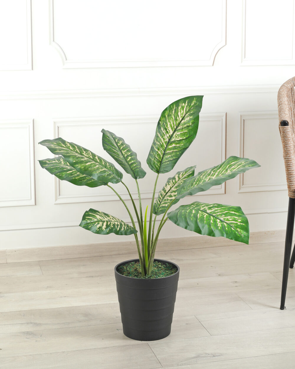 Artificial Dieffenbachia Plant