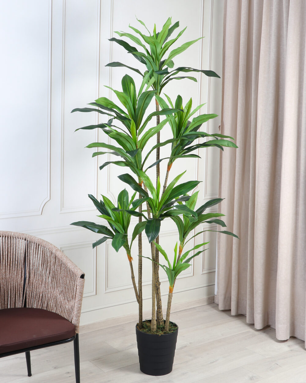 Fourwalls Artificial Dracaena Plant - 6.5 Feet