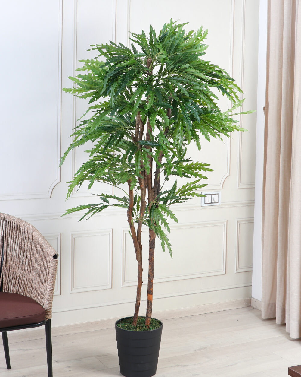 Fourwalls Artificial Plerandra Tree - 6 Feet