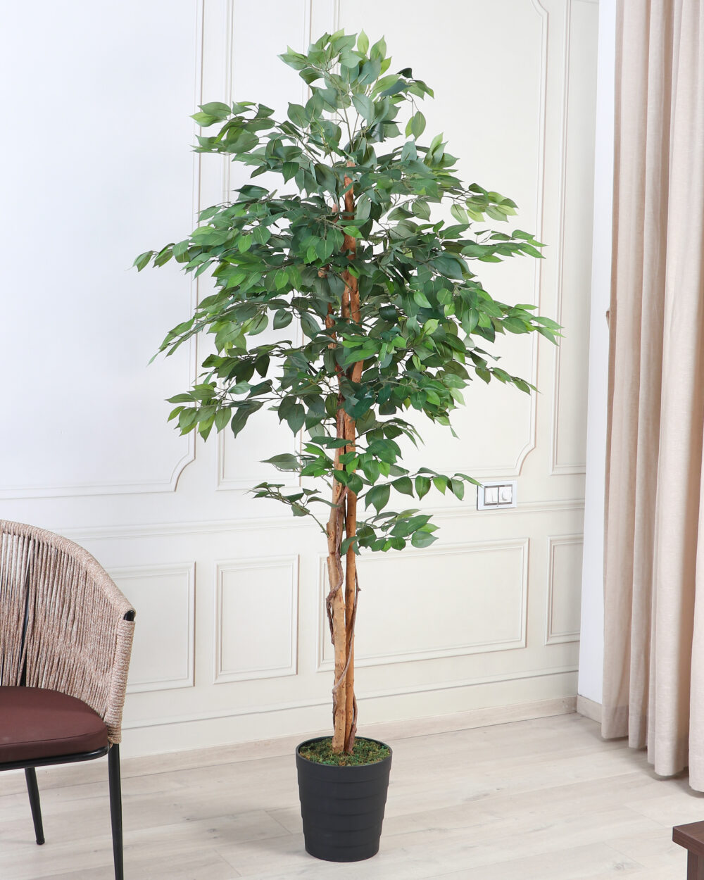 Fourwalls Artificial Ficus Plant with Natural Wooden Trunk - 6 Feet
