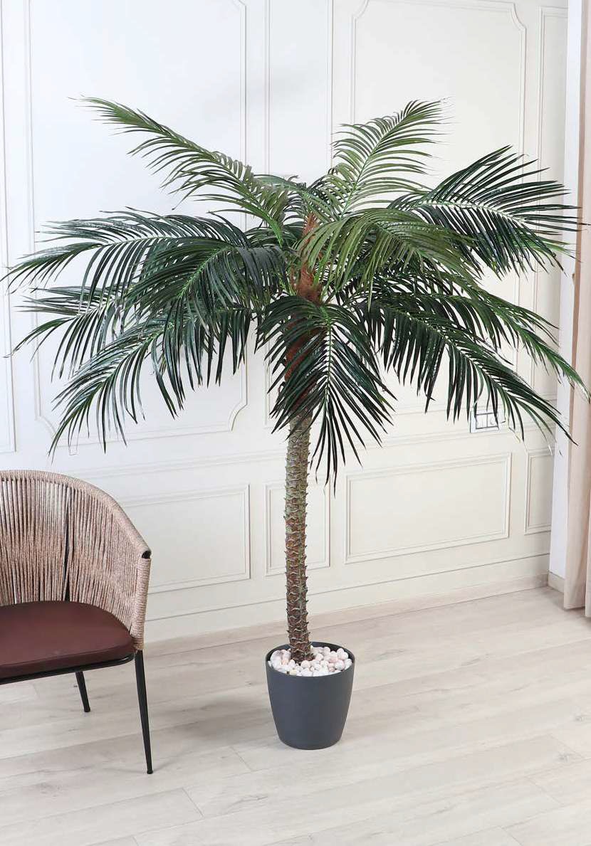 Fourwalls Artificial Curved Phoenix Palm Tree - 7.2 Feet