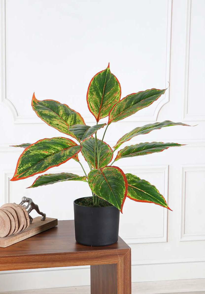 Fourwalls Artificial Taro Plant - 2 Feet