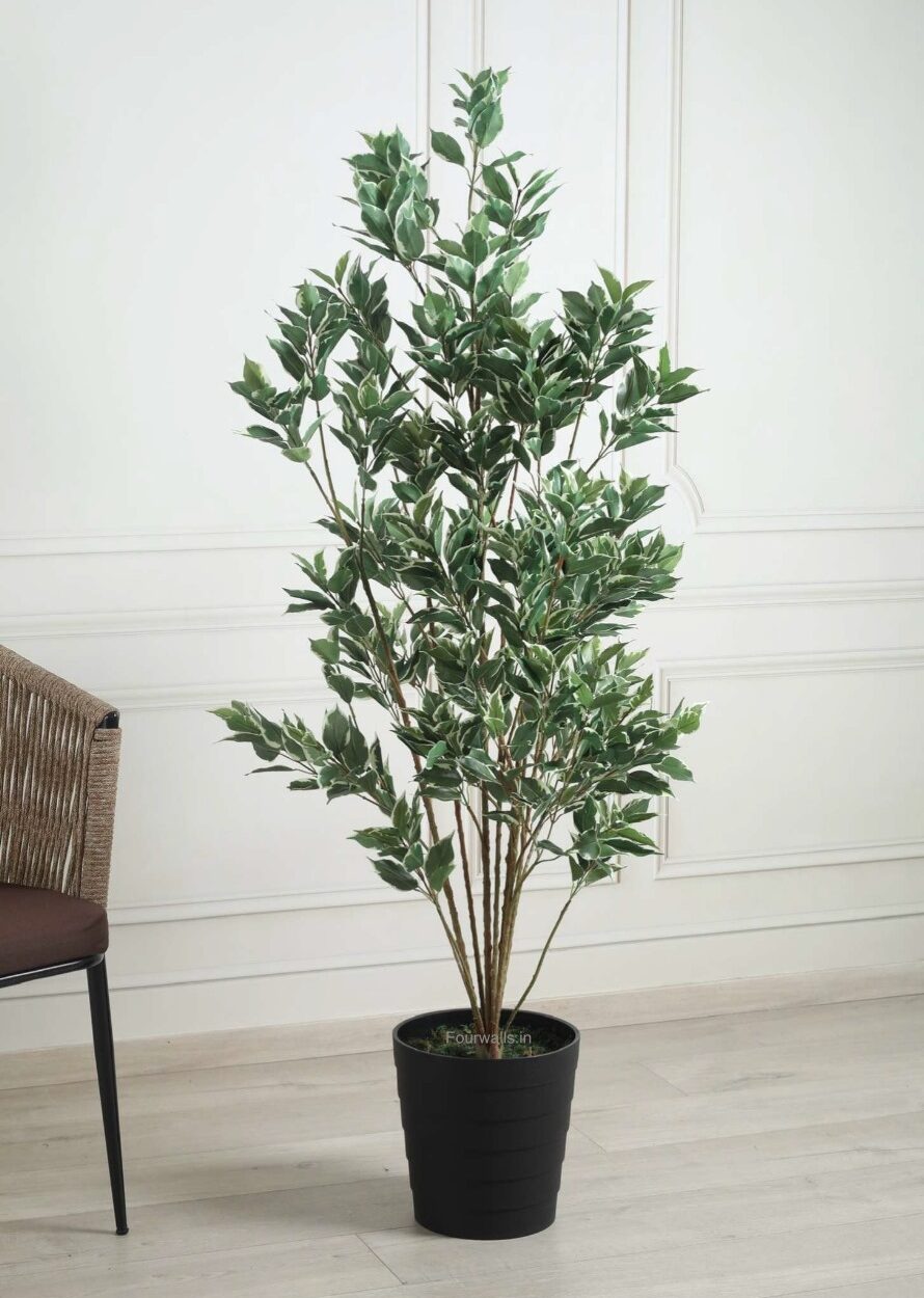 Fourwalls Artificial Variegated Ficus Plant - 5 Feet