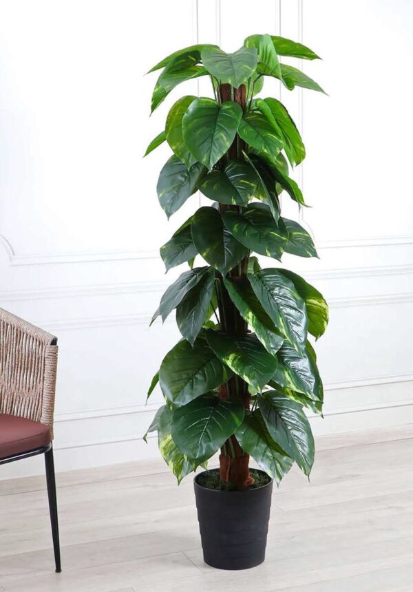 Fourwalls Artificial Money Plant on Moss Pole - 5 Feet