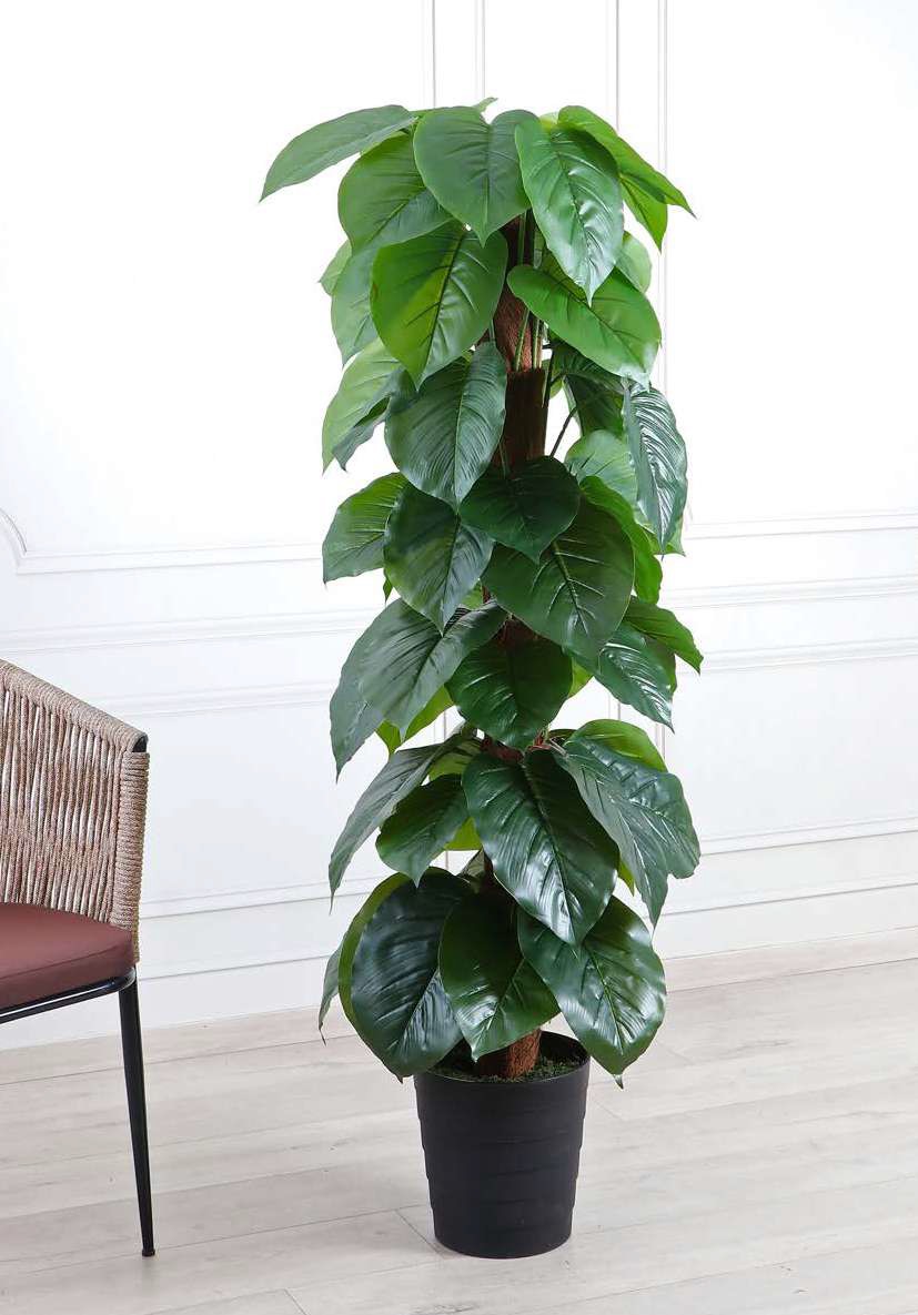 Fourwalls Artificial Alocasia Plant on Moss Pole - 5 Feet