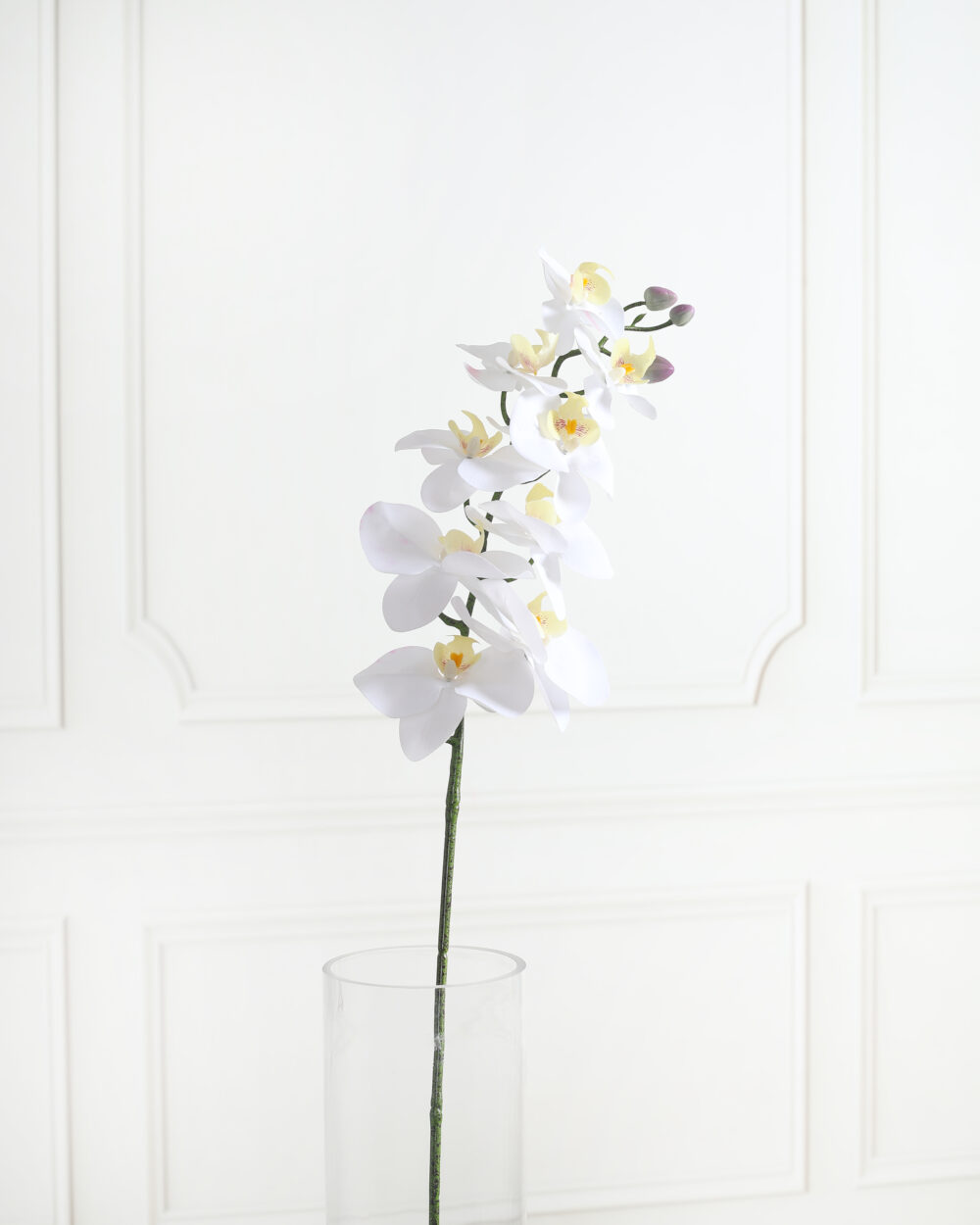 Artificial Real Touch Phalaenopsis Orchid Flower Stem - White