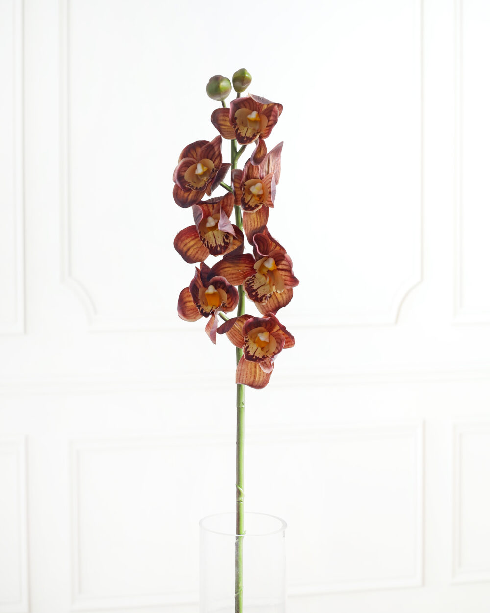 Artificial Real Touch Cymbidium Orchid Flower Stem - Olive Green