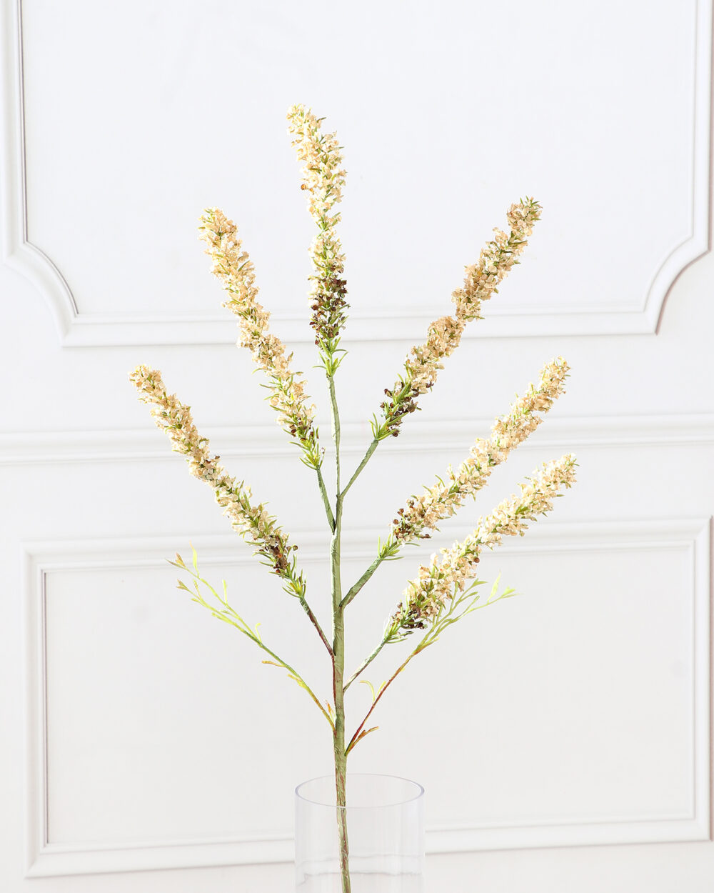 Dried Hops Stem - Cream White