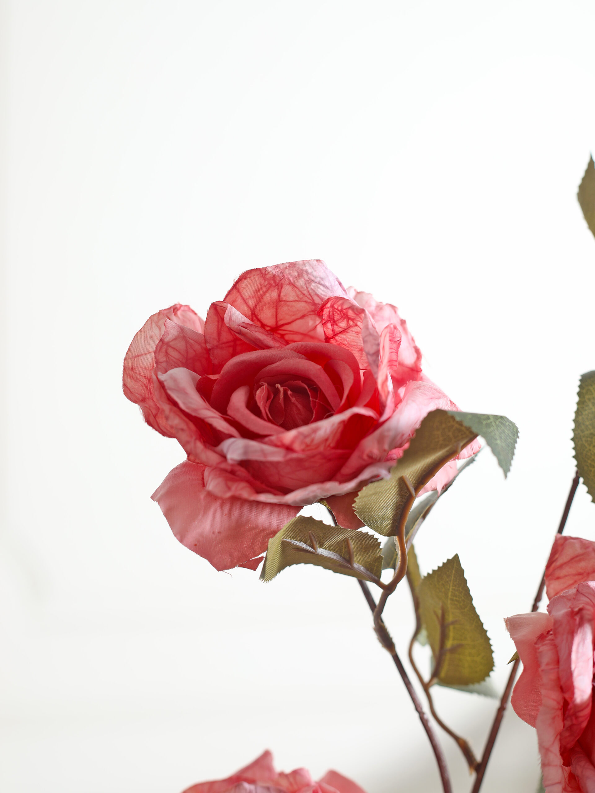 Artificial Cabbage Rose Flower Stem - Pink - Image 2