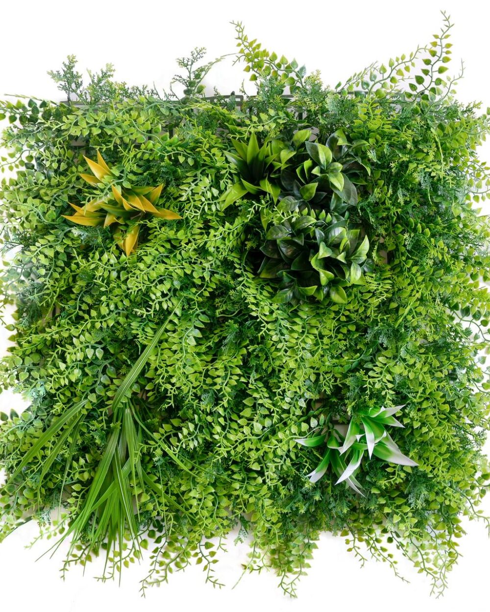 Mediterranian Fern UV Resistant Artificial Vertical Wall Tile - 50 cm x 50 cm