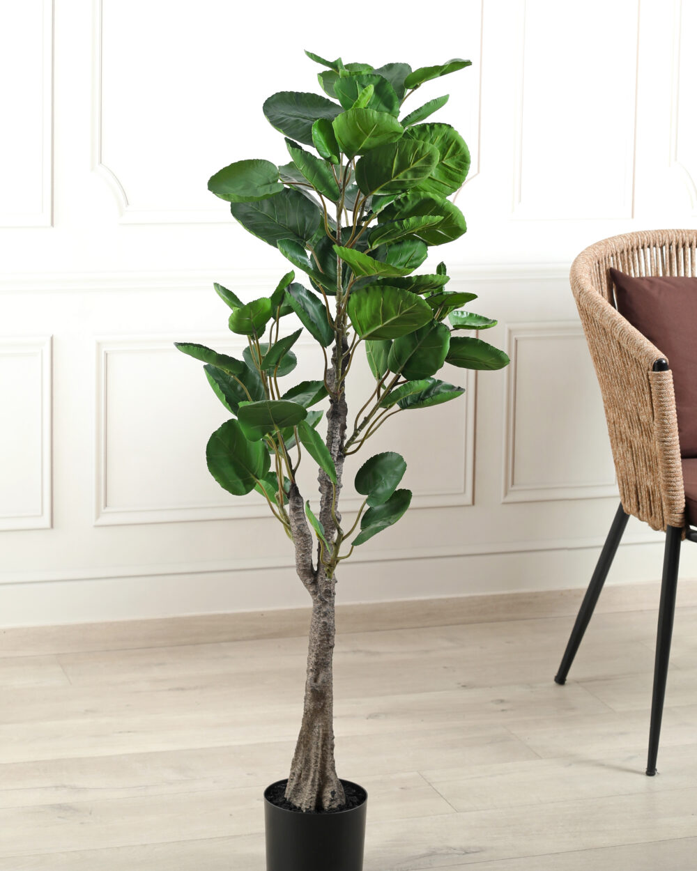 Artificial Polyscias Plant with Pot - 4 Feet