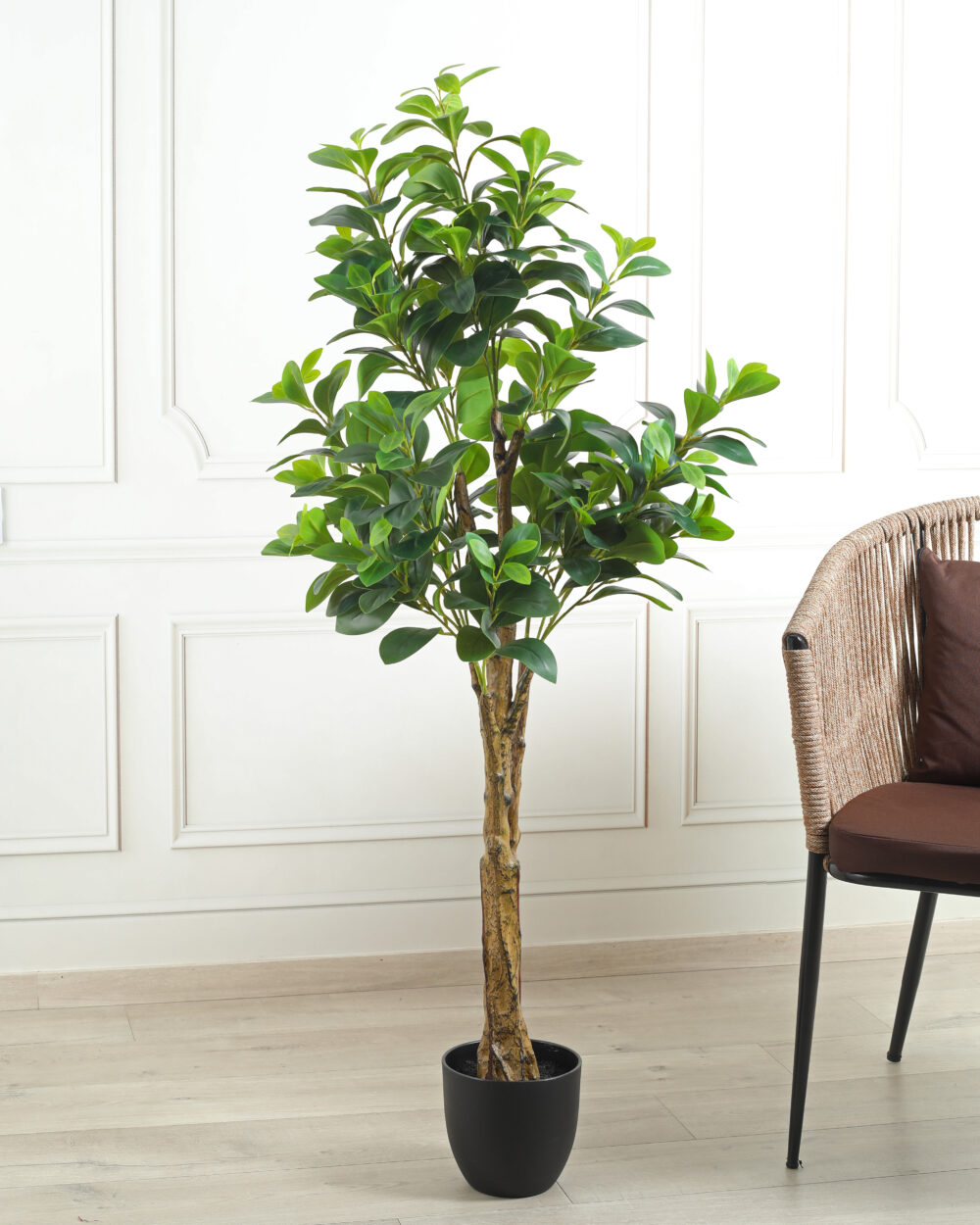 Artificial Peperomia Tree with Pot - 4.8 Feet