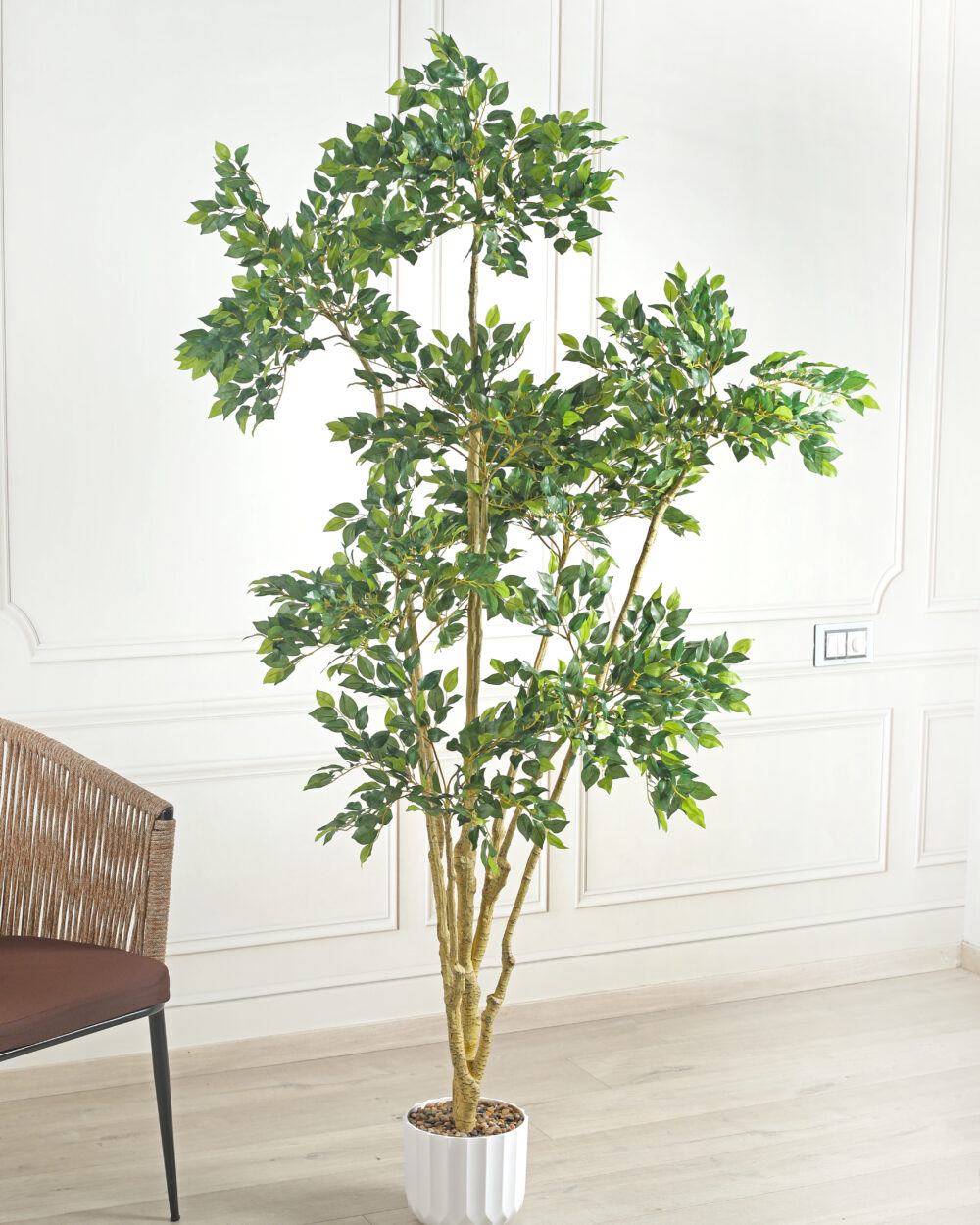 Artificial Ficus Plant with Pot - 6.5 Feet