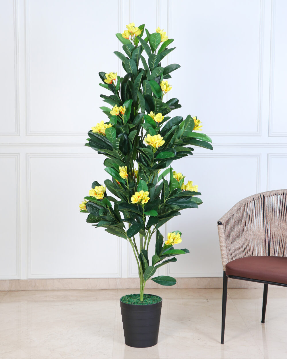 Artificial Frangipani Plant - 6 Feet, Yellow