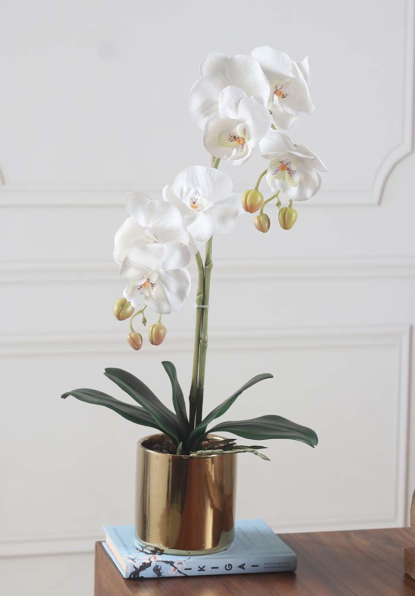 Artificial Real Touch Orchid with Ceramic Pot - 1.5 Feet, White