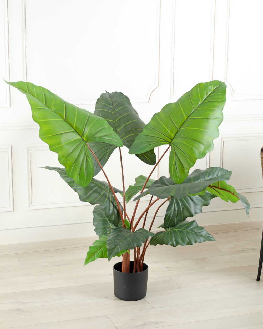 Artificial Alocasia Plant with Pot - 4 Feet