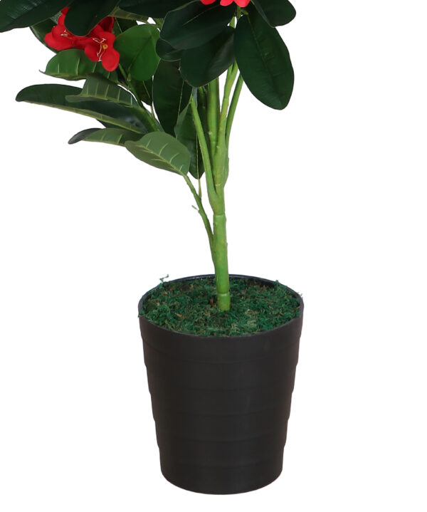 Artificial Frangipani Plant - 5 Feet, PINK - Image 3