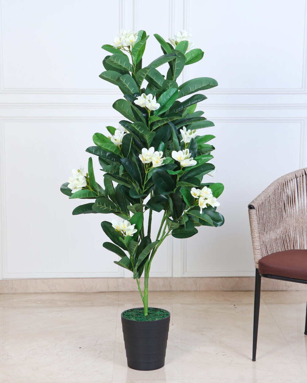 Artificial Frangipani Plant - 5 Feet, WHITE