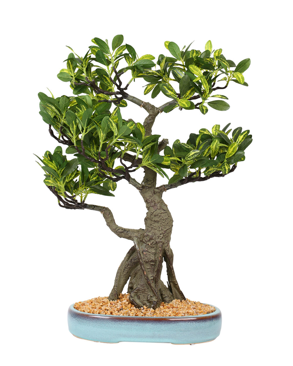 Fourwalls Artificial Schefflera Bonsai Plant in a Ceramic Pot (48 cm, Green)