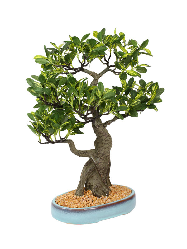 Fourwalls Artificial Schefflera Bonsai Plant in a Ceramic Pot (48 cm, Green) - Image 3