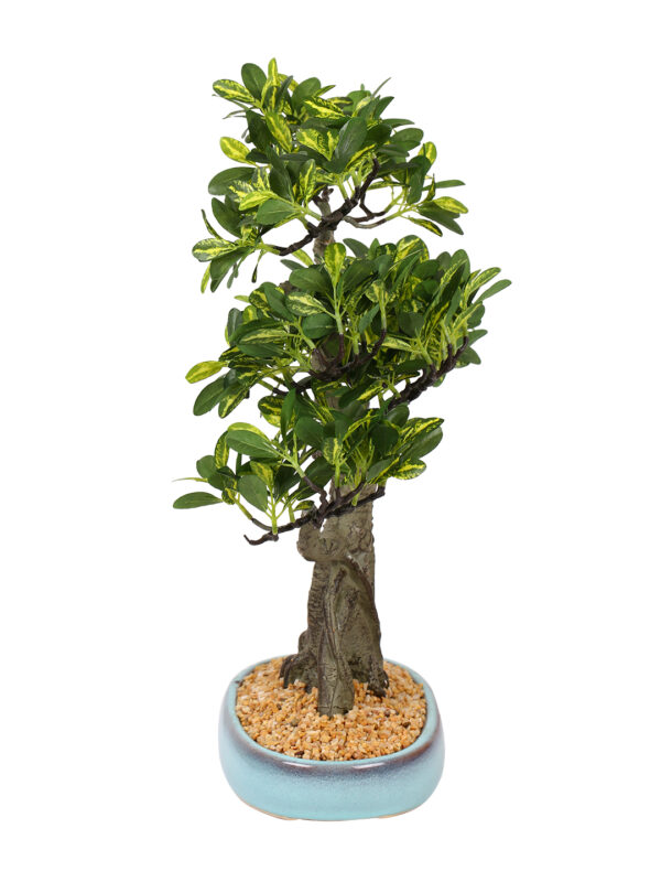 Fourwalls Artificial Schefflera Bonsai Plant in a Ceramic Pot (48 cm, Green) - Image 4
