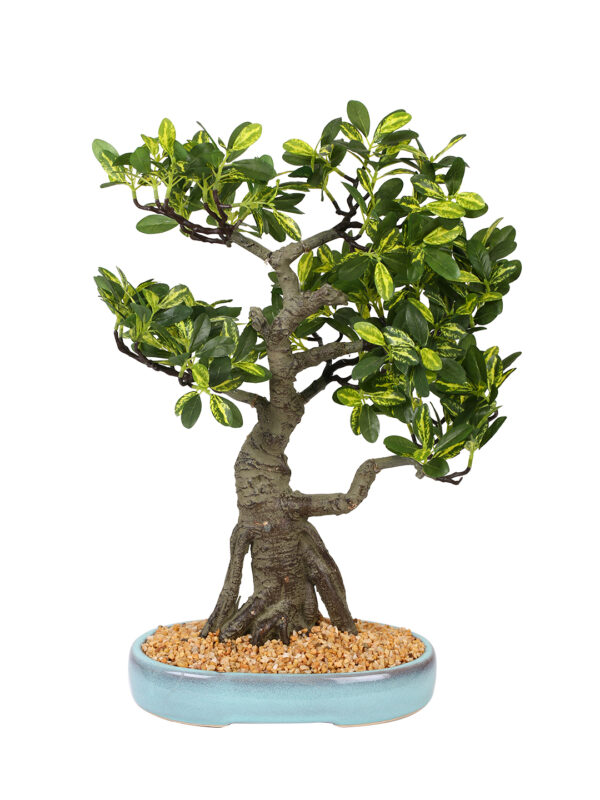 Fourwalls Artificial Schefflera Bonsai Plant in a Ceramic Pot (48 cm, Green) - Image 5