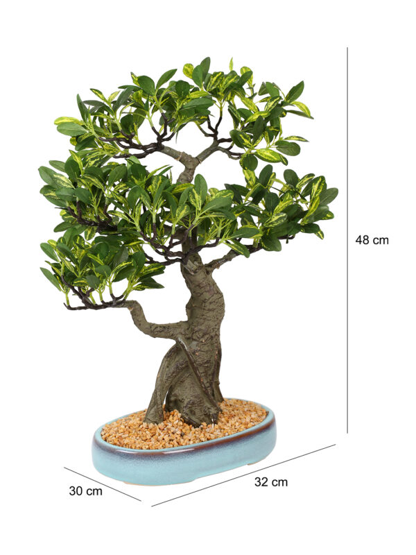 Fourwalls Artificial Schefflera Bonsai Plant in a Ceramic Pot (48 cm, Green) - Image 6