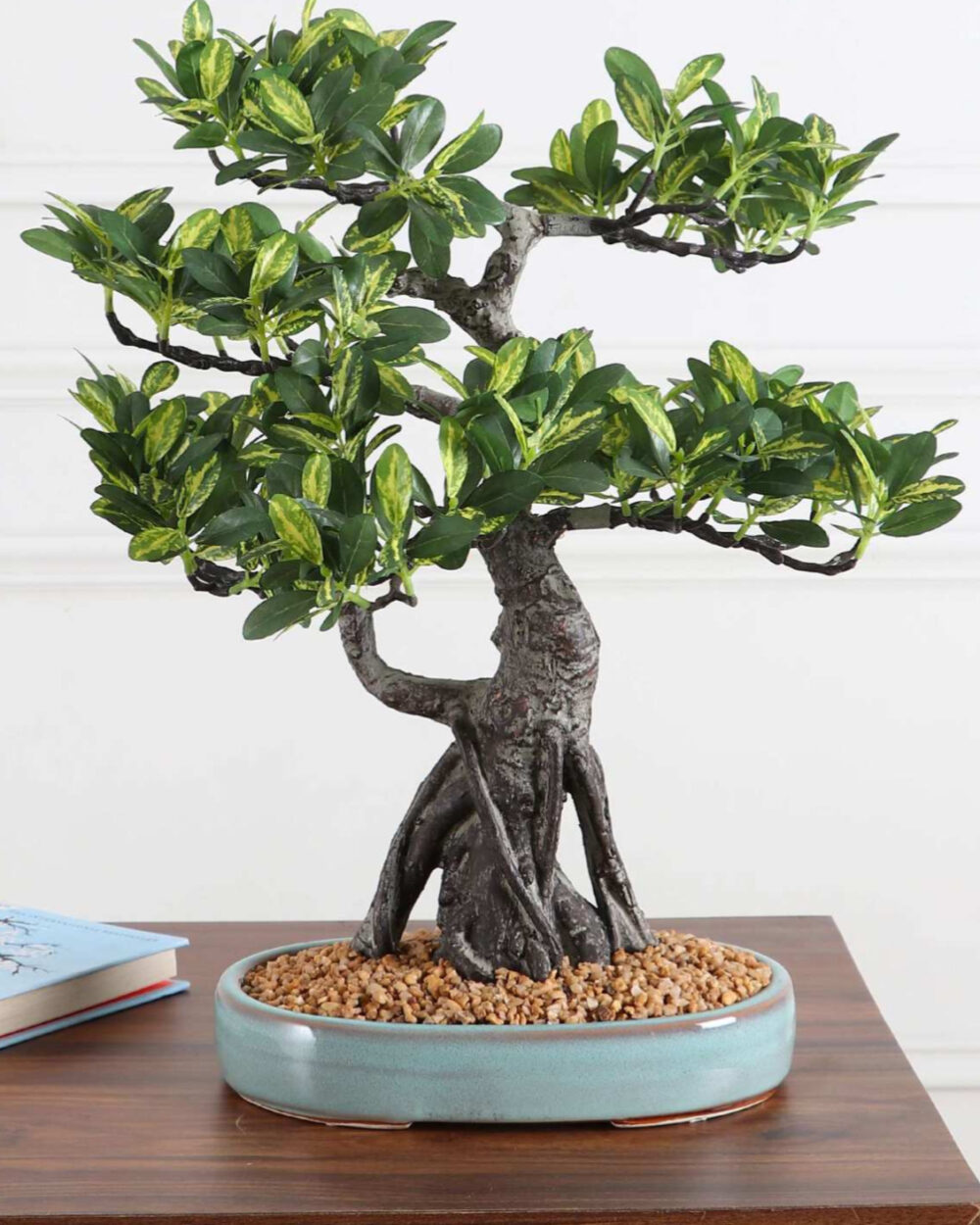 Fourwalls Artificial Schefflera Bonsai Plant in a Ceramic Pot (48 cm, Green)